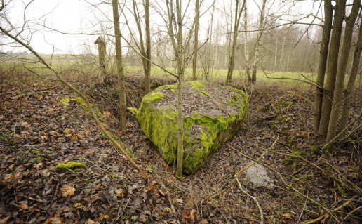 8. Sakuočių akmuo.jpg